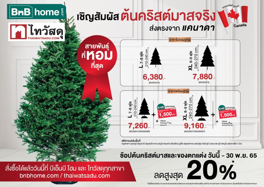 เปิดพรีออเดอร์กันได้แล้ว! ต้นคริสต์มาสจริงสายพันธุ์ที่หอมที่สุด ส่งตรงจากแคนาดา เจ้าเดียวในไทย ต้อนรับเทศกาลแห่งความสุข จองวันนี้ที่บีเอ็นบี โฮม และ ไทวัสดุ ทุกสาขา เปิดพรีออเดอร์กันได้แล้ว! ต้นคริสต์มาสจริงสายพันธุ์ที่หอมที่สุด ส่งตรงจากแคนาดา เจ้าเดียวในไทย ต้อนรับเทศกาลแห่งความสุข จองวันนี้ที่บีเอ็นบี โฮม และ ไทวัสดุ ทุกสาขา