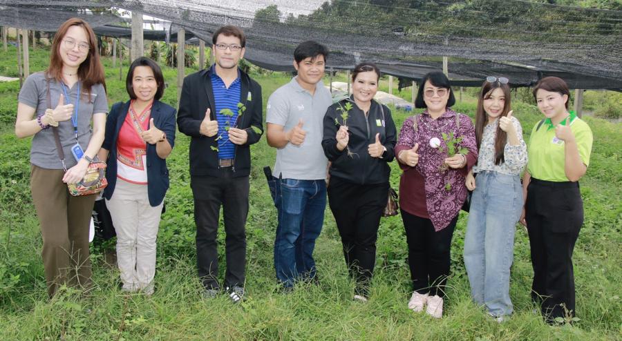 วช. ผลักดันผลงานวิจัย “จิงจูฉ่าย สุดยอดผักสมุนไพรเพื่อสุขภาพ” ของจังหวัดเชียงรายเพื่อผู้สูงอายุ