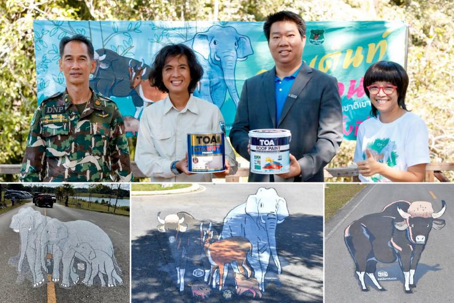 จุดกางเต็นท์จับมือ TOA เพนท์ถนน ด้วยภาพวาดสัตว์ป่า 3 มิติ หวังช่วยลดอุบัติเหตุรถชนสัตว์ป่า นำร่องที่อุทยานแห่งชาติเขาใหญ่ จุดกางเต็นท์จับมือ TOA เพนท์ถนน ด้วยภาพวาดสัตว์ป่า 3 มิติ หวังช่วยลดอุบัติเหตุรถชนสัตว์ป่า นำร่องที่อุทยานแห่งชาติเขาใหญ่