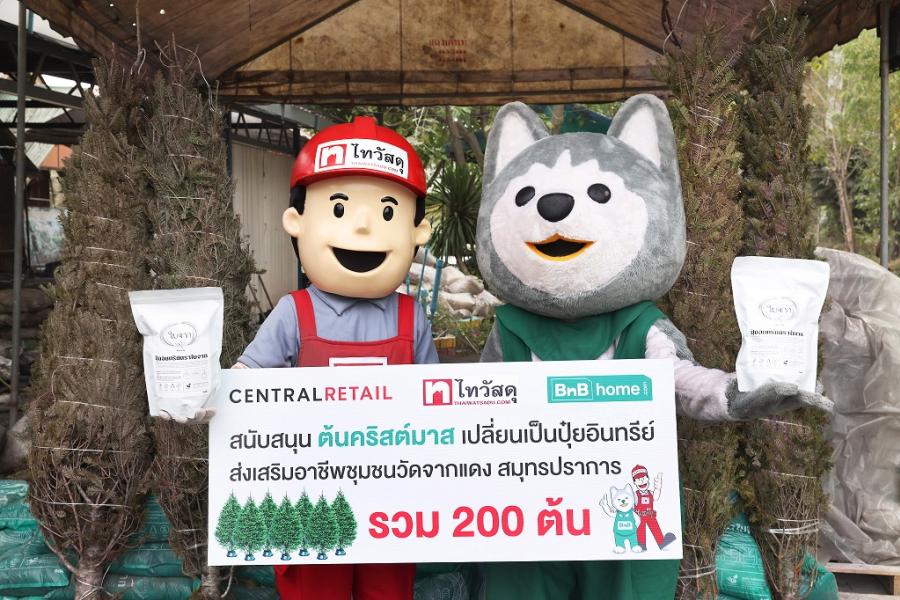 ไทวัสดุ และ บีเอ็นบี โฮม เปิดภารกิจส่งต่อความหอมฟุ้ง “ต้นสนสดคริสต์มาส”  สู่ตัวแทนความรักหลากรูปแบบเพื่อสังคม ร่วมส่งต่อความสุขที่ไม่สิ้นสุด