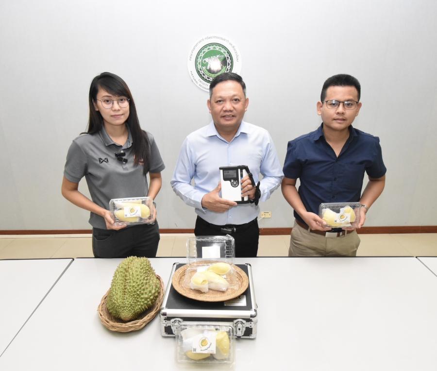 วช. หนุน ม.นเรศวร ขยายพันธุ์ทุเรียนด้วยเทคนิคการเพาะเลี้ยงเนื้อเยื่อ เพื่อการอนุรักษ์พันธุกรรมทุเรียนหลงลับแล หลินลับแล และพื้นเมืองคุณภาพดีในเขตภาคเหนือตอนล่าง