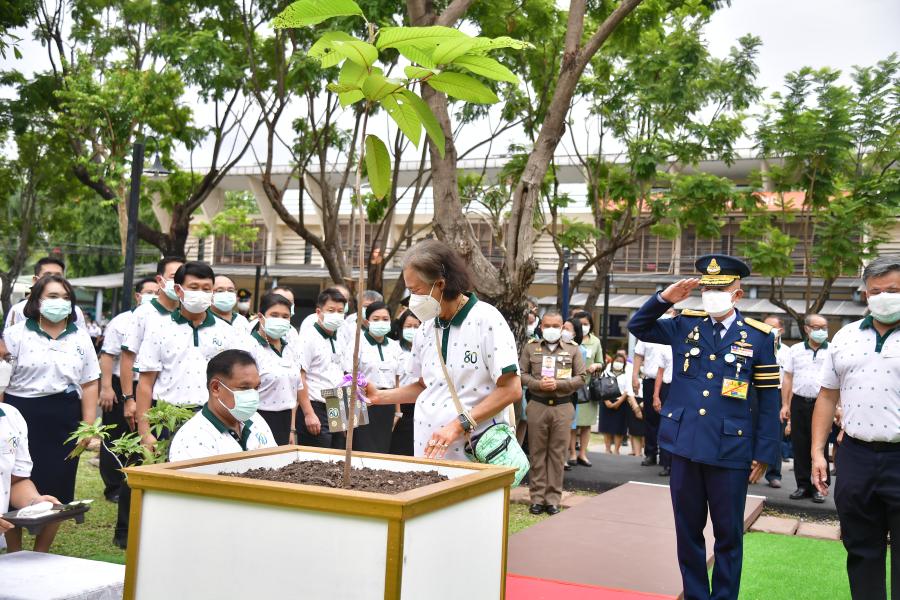 สมเด็จพระกนิษฐาธิราชเจ้า กรมสมเด็จพระเทพรัตนราชสุดาฯ สยามบรมราชกุมารี  เสด็จฯ ไปทรงปลูกต้นไม้ร่วมกับผู้บริหาร คณาจารย์ บุคลากร นิสิตคณะวนศาสตร์ มหาวิทยาลัยเกษตรศาสตร์ เนื่องในเทศกาลวันเข้าพรรษา ปี 2566 ณ สวน 60 ปี มหาวิทยาลัยเกษตรศาสตร์