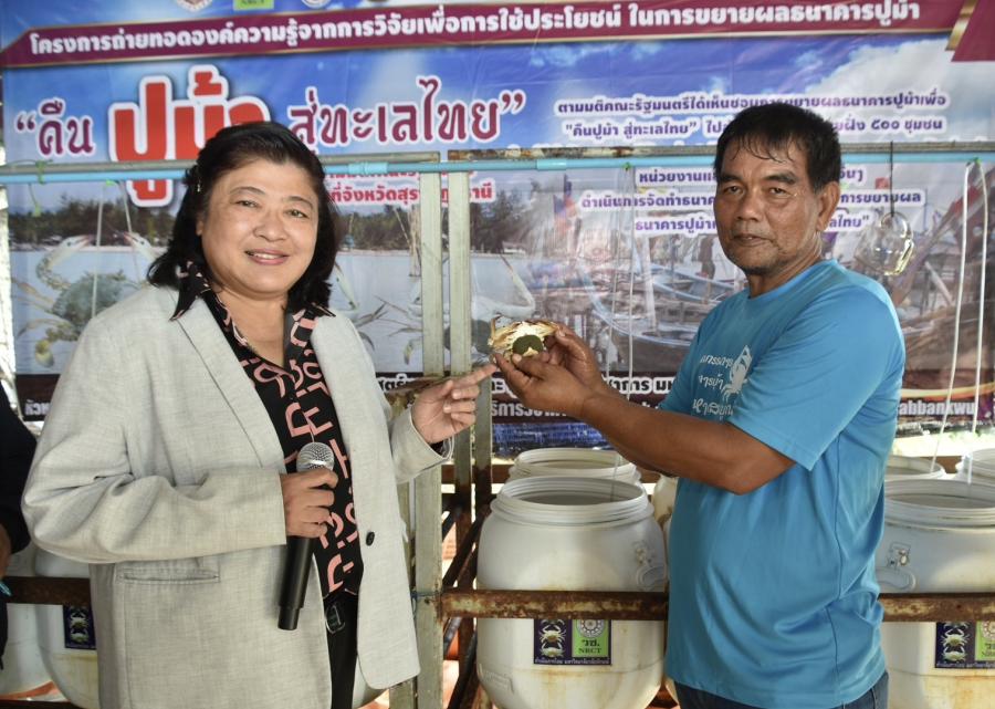 วช. ลงพื้นที่ท่าชนะ จังหวัดสุราษฎร์ธานี เยี่ยมชมผลสำเร็จของงานวิจัย “ธนาคารปูม้า” เพื่อสร้างอนาคตที่ยั่งยืน ทางรอดปูม้าไทยคืนสู่ท้องทะเล