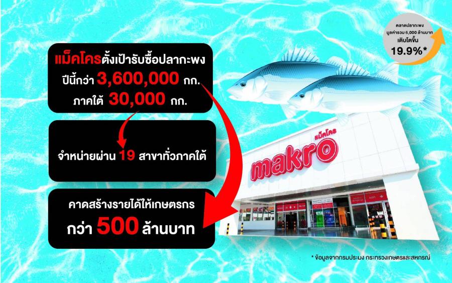 แม็คโครเคียงข้างเกษตรกรไทย จับมือพาณิชย์และประมงจังหวัดสงขลา  รับซื้อปลากะพงกว่า 30,000 กิโลกรัมจากภาคใต้ แก้ปัญหาราคาตกต่ำ