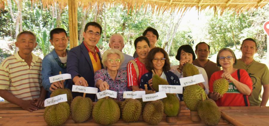 วช. หนุนเกษตรกรผู้ปลูกทุเรียน ภาคใต้ตอนล่าง ด้วยการวิจัยและพัฒนา การชักนำรากลอยผลักดัน การผลิตทุเรียนคุณภาพสูงสู่การส่งออกอย่างยั่งยืน