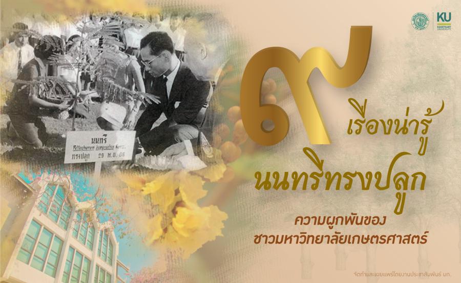 9 เรื่องน่ารู้ นนทรีทรงปลูก กับความผูกพันของชาวมหาวิทยาลัยเกษตรศาสตร์ 9 เรื่องน่ารู้ นนทรีทรงปลูก กับความผูกพันของชาวมหาวิทยาลัยเกษตรศาสตร์