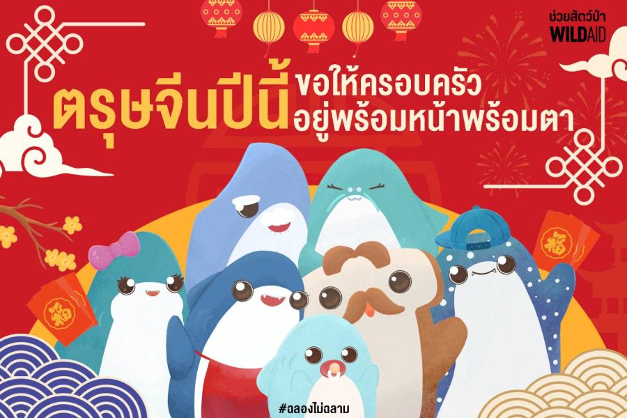ตรุษจีนนี้ ไวล์ดเอดขอคนรุ่นใหม่ชวนครอบครัว #ฉลองไม่ฉลาม หลังงานวิจัยพบหูฉลามที่ขายในไทยกว่า 60% มาจากฉลามเสี่ยงสูญพันธุ์ ตรุษจีนนี้ ไวล์ดเอดขอคนรุ่นใหม่ชวนครอบครัว #ฉลองไม่ฉลาม หลังงานวิจัยพบหูฉลามที่ขายในไทยกว่า 60% มาจากฉลามเสี่ยงสูญพันธุ์
