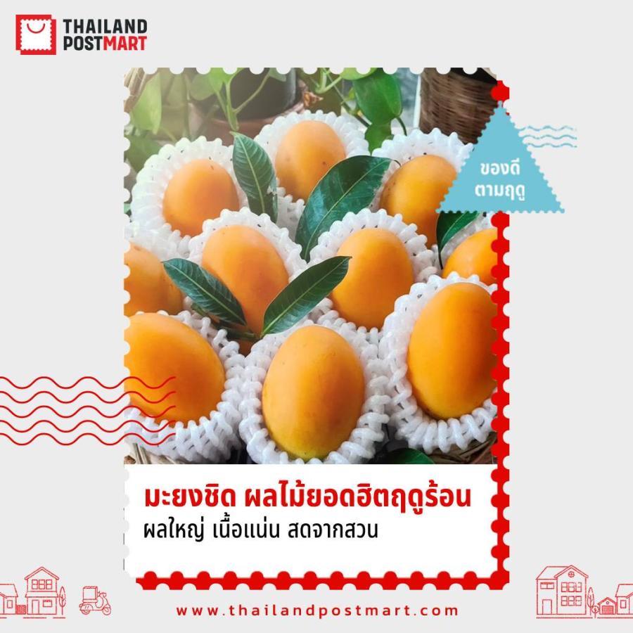 ซีซั่นนี้ต้องมะยงชิด! ไปรษณีย์ไทยชวนอุดหนุน “มะยงชิดสุโขทัย” สด หวาน กรอบ ส่งตรงจากสวน สั่งซื้อได้แล้ววันนี้ที่ไทยแลนด์โพสต์มาร์ท ซีซั่นนี้ต้องมะยงชิด! ไปรษณีย์ไทยชวนอุดหนุน “มะยงชิดสุโขทัย” สด หวาน กรอบ ส่งตรงจากสวน สั่งซื้อได้แล้ววันนี้ที่ไทยแลนด์โพสต์มาร์ท
