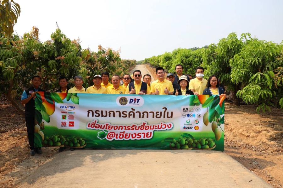 กรมการค้าภายในพาผู้ประกอบการรับซื้อมะม่วงเชียงราย เตรียมรับมือช่วงผลิตออกสู่ตลาดเป็นจำนวนมาก กรมการค้าภายในพาผู้ประกอบการรับซื้อมะม่วงเชียงราย เตรียมรับมือช่วงผลิตออกสู่ตลาดเป็นจำนวนมาก