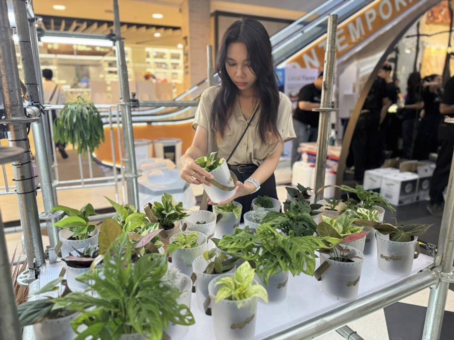 แอสเซทไวส์ ชวนคนรุ่นใหม่รักษ์โลกแบบคูล ๆ ในงาน SangSom MOONLAB จับไอเดียเก๋ มอบต้นไม้ฟรี-เปลี่ยนบัคเก็ตเครื่องดื่ม เป็นกระถางต้นไม้ ชวนนิวเจนลดขยะและเพิ่มกรีนสเปซตามแนวคิด GrowGreen แอสเซทไวส์ ชวนคนรุ่นใหม่รักษ์โลกแบบคูล ๆ ในงาน SangSom MOONLAB จับไอเดียเก๋ มอบต้นไม้ฟรี-เปลี่ยนบัคเก็ตเครื่องดื่ม เป็นกระถางต้นไม้ ชวนนิวเจนลดขยะและเพิ่มกรีนสเปซตามแนวคิด GrowGreen
