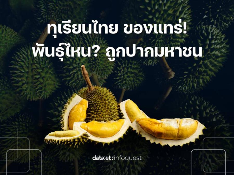 ทุเรียนไทย ของแทร่! พันธุ์ไหน? ถูกปากมหาชน ทุเรียนไทย ของแทร่! พันธุ์ไหน? ถูกปากมหาชน