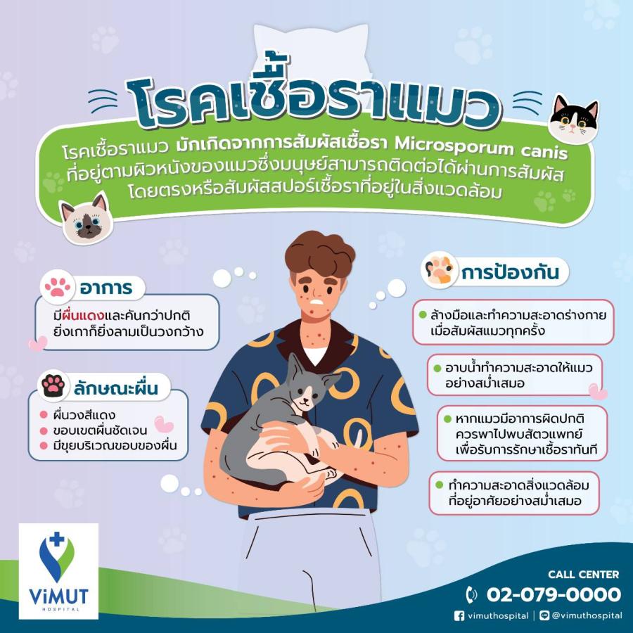 ทาสแมวอย่าเล่นเพลิน! ’’โรคเชื้อราแมว’’ อันตรายที่มากับการสัมผัสเจ้าเหมียว แพทย์ รพ.วิมุต ชี้ สังเกตอาการ-รักษาให้ไว ก่อนผื่นลามหนักจนอันตราย