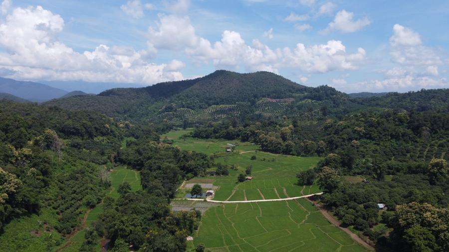 บ้านแม่สายนาเลาชุมชน “คน” อยู่ร่วมกับ “ป่า” สู่ต้นแบบ หมู่บ้านปลอดการเผา รางวัลการันตี 2 ปีซ้อน บ้านแม่สายนาเลาชุมชน “คน” อยู่ร่วมกับ “ป่า” สู่ต้นแบบ หมู่บ้านปลอดการเผา รางวัลการันตี 2 ปีซ้อน