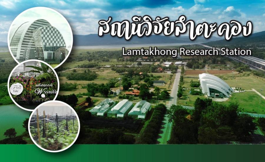 วว. ชวนเที่ยวตลาด “Plan มาเก็บ” ณ สถานีวิจัยลำตะคอง นครราชสีมา วว. ชวนเที่ยวตลาด “Plan มาเก็บ” ณ สถานีวิจัยลำตะคอง นครราชสีมา