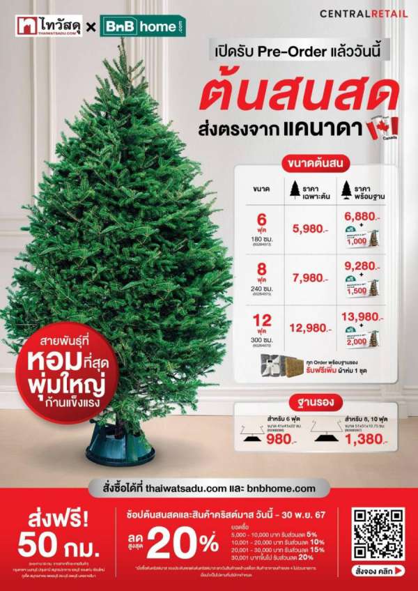 เปิด Pre-Order แล้วช่วง Early Bird ลดสูงสุด 20% ต้นสนสดจากแคนาดาสายพันธุ์ที่หอมที่สุด ที่ไทวัสดุ และ บีเอ็นบี โฮม ทุกสาขา สดชื่นรับเทศกาลคริสต์มาสและปีใหม่ก่อนใคร 