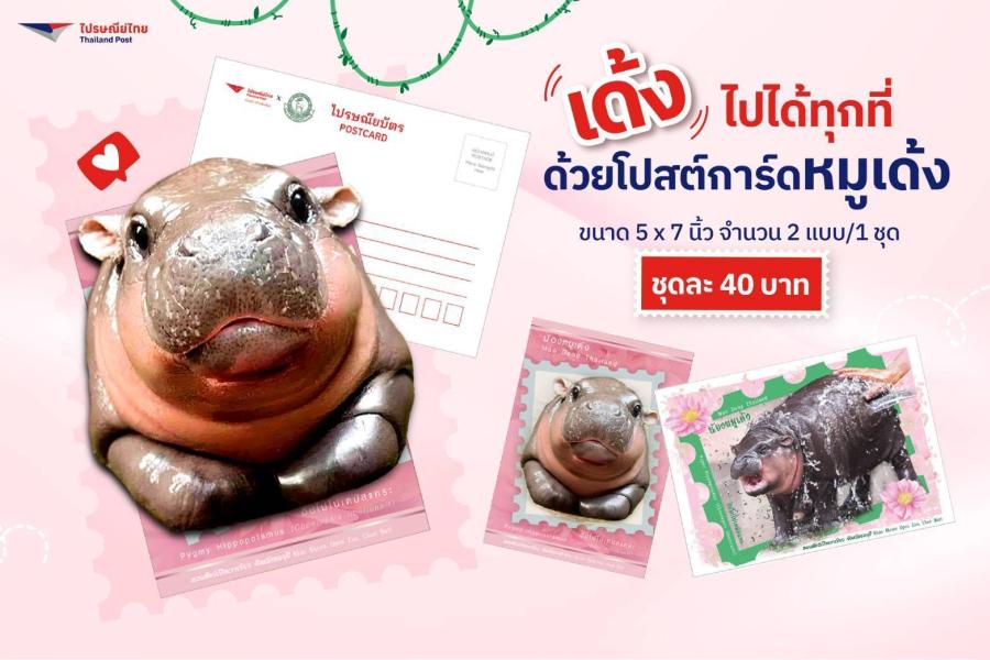ลิมิเต็ดคอลเลกชัน! ไปรษณีย์ไทยเอาใจแฟนคลับ “น้องหมูเด้ง” เปิดตัว iStamp และโปสต์การ์ดซุป’ตาร์แห่งสวนสัตว์เขาเขียว พร้อมชวนส่งข้อความแทนใจ ถึง “ตู้ปณ หมูเด้ง” ส่งรายได้ช่วยสัตว์ป่าและผู้ประสบภัยน้ำท่วม ลิมิเต็ดคอลเลกชัน! ไปรษณีย์ไทยเอาใจแฟนคลับ “น้องหมูเด้ง” เปิดตัว iStamp และโปสต์การ์ดซุป’ตาร์แห่งสวนสัตว์เขาเขียว พร้อมชวนส่งข้อความแทนใจ ถึง “ตู้ปณ หมูเด้ง” ส่งรายได้ช่วยสัตว์ป่าและผู้ประสบภัยน้ำท่วม