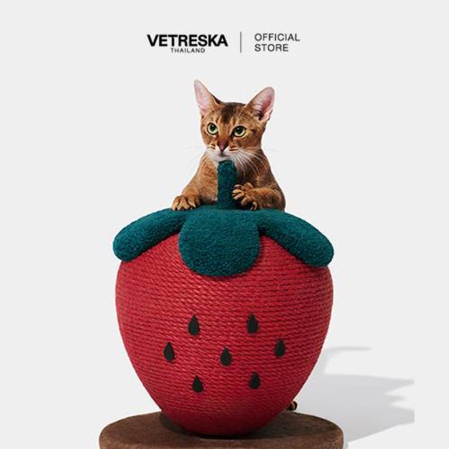’’เล่นใหญ่ดีไซน์เก๋ ที่ลับเล็บแมว จาก VETRESKA’’ ’’เล่นใหญ่ดีไซน์เก๋ ที่ลับเล็บแมว จาก VETRESKA’’