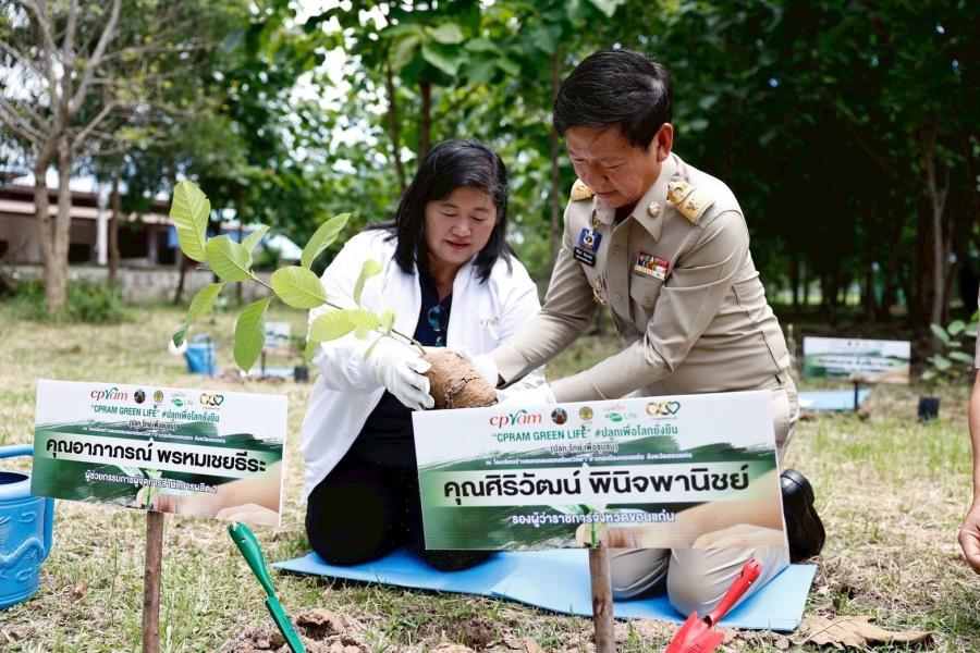 ซีพีแรม ลุยเพิ่มพื้นที่สีเขียวบนผืนแผ่นดินไทย เป็นปีที่ 12 อย่างต่อเนื่อง เดินหน้าปลูกเพื่อโลกยั่งยืน ปักหมุดขอนแก่นพื้นที่ภาคอีสาน หวังเพิ่มพื้นที่สีเขียว เพิ่มการดูดซึมก๊าซคาร์บอนไดออกไซด์ และสร้างสมดุลโลก ซีพีแรม ลุยเพิ่มพื้นที่สีเขียวบนผืนแผ่นดินไทย เป็นปีที่ 12 อย่างต่อเนื่อง เดินหน้าปลูกเพื่อโลกยั่งยืน ปักหมุดขอนแก่นพื้นที่ภาคอีสาน หวังเพิ่มพื้นที่สีเขียว เพิ่มการดูดซึมก๊าซคาร์บอนไดออกไซด์ และสร้างสมดุลโลก