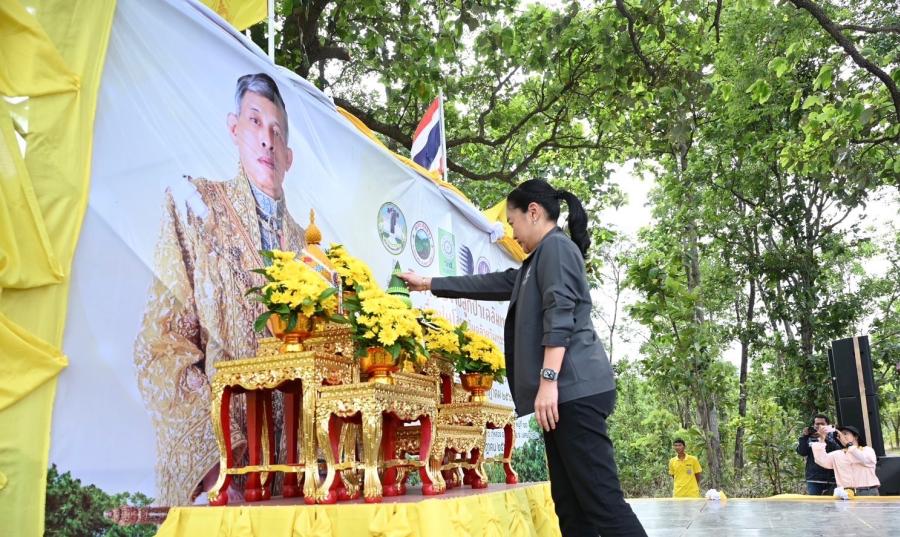 “สุดาวรรณ” รมว.อว. ปลูกป่าเฉลิมพระเกียรติ 5000 ต้น เนื่องในโอกาสวันคล้ายวันพระราชสมภพของพระบาทสมเด็จพระเจ้าอยู่หัว 28 กรกฎาคม 2568 ดันงานวิจัยกล้าไม้เชื้อเห็ดไมคอร์ไรซา สร้างอาชีพ สร้างรายได้สู่ชุมชน “สุดาวรรณ” รมว.อว. ปลูกป่าเฉลิมพระเกียรติ 5000 ต้น เนื่องในโอกาสวันคล้ายวันพระราชสมภพของพระบาทสมเด็จพระเจ้าอยู่หัว 28 กรกฎาคม 2568 ดันงานวิจัยกล้าไม้เชื้อเห็ดไมคอร์ไรซา สร้างอาชีพ สร้างรายได้สู่ชุมชน