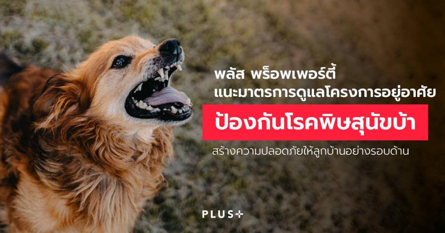 ข่าวฉบับร่าง (แก้ไขหัวข้อที่นี่)