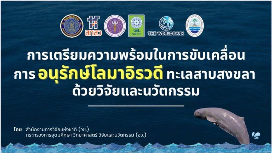 วช. ร่วมกับ ทช. กปม. สกสว. WB และหน่วยงานภาคีเครือข่าย ขับเคลื่อนการอนุรักษ์โลมาอิรวดีทะเลสาบสงขลา วช. ร่วมกับ ทช. กปม. สกสว. WB และหน่วยงานภาคีเครือข่าย ขับเคลื่อนการอนุรักษ์โลมาอิรวดีทะเลสาบสงขลา