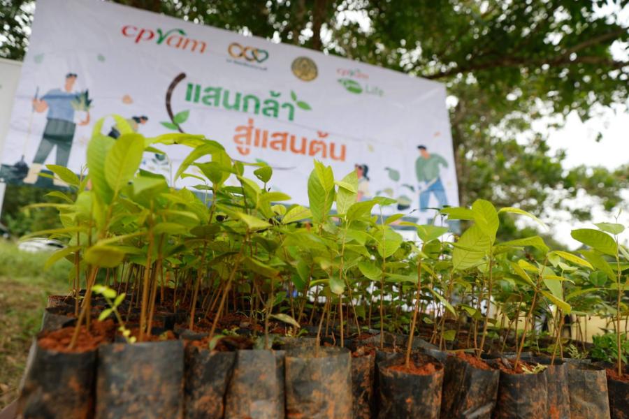 ซีพีแรม เผยความสำเร็จ “ปลูกเพื่อโลกยั่งยืน ” ต่อเนื่องเป็นปีที่ 12  ปลูกป่ากว่า 65000 ต้น เดินหน้าสู่เป้าหมาย Net Zero ในปี 2050 