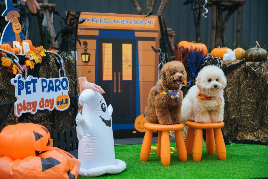 ปลุกสีสัน Halloween สุดหลอนกับเหล่าเพื่อนซี้สี่ขา  เติมความสุขอบอุ่นใจในงาน  PET PARQ PLAY DAY VOL.3 ที่ เดอะ ปาร์ค