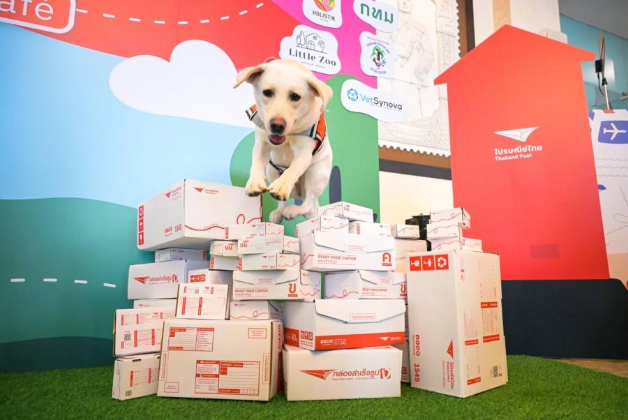 อบอุ่นกว่านี้ไม่มีอีกแล้ว!!  ‘คู่หู คู่ซี้ เดอะ คาเฟ่’ ณ ไปรษณีย์กลาง บางรัก  พลังเชื่อมโยงสัมพันธภาพ “โฮ่ง เหมียว และบรรดาทูนหัว” จากไปรษณีย์ไทย  ที่จะทำให้คุณอยากจูงเจ้าขนฟูมาฮีลใจทันที