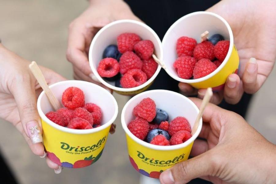 The Berry Joy กลับมาอีกครั้ง! Driscoll’s สุดยอดแบรนด์เบอร์รีระดับโลก  ยกขบวนโรดโชว์ เสิร์ฟความหวานฉ่ำใจกลางกรุงเทพฯ  ร่วมฉลองฤดูกาลแสนหวานฉ่ำ กับเบอร์รีแสนอร่อย เก็บโมเมนต์แห่งความสุข  และเพลิดเพลินการคอลแลปสุดพิเศษร่วมกับ Drop By Dough!