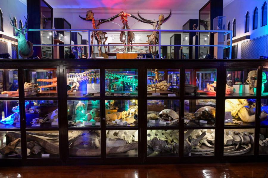 จุฬาฯ เชิญชม “พิพิธภัณฑ์ยามค่ำคืน” ภายใต้แนวคิด “มองเมืองผ่านเลนส์วิทยาศาสตร์” วันที่ 12 – 14 ธ.ค.นี้ เข้าชมฟรีตลอดงาน!!