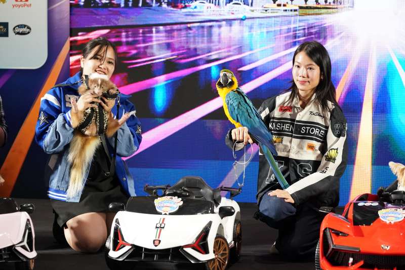IMAGE - 47546