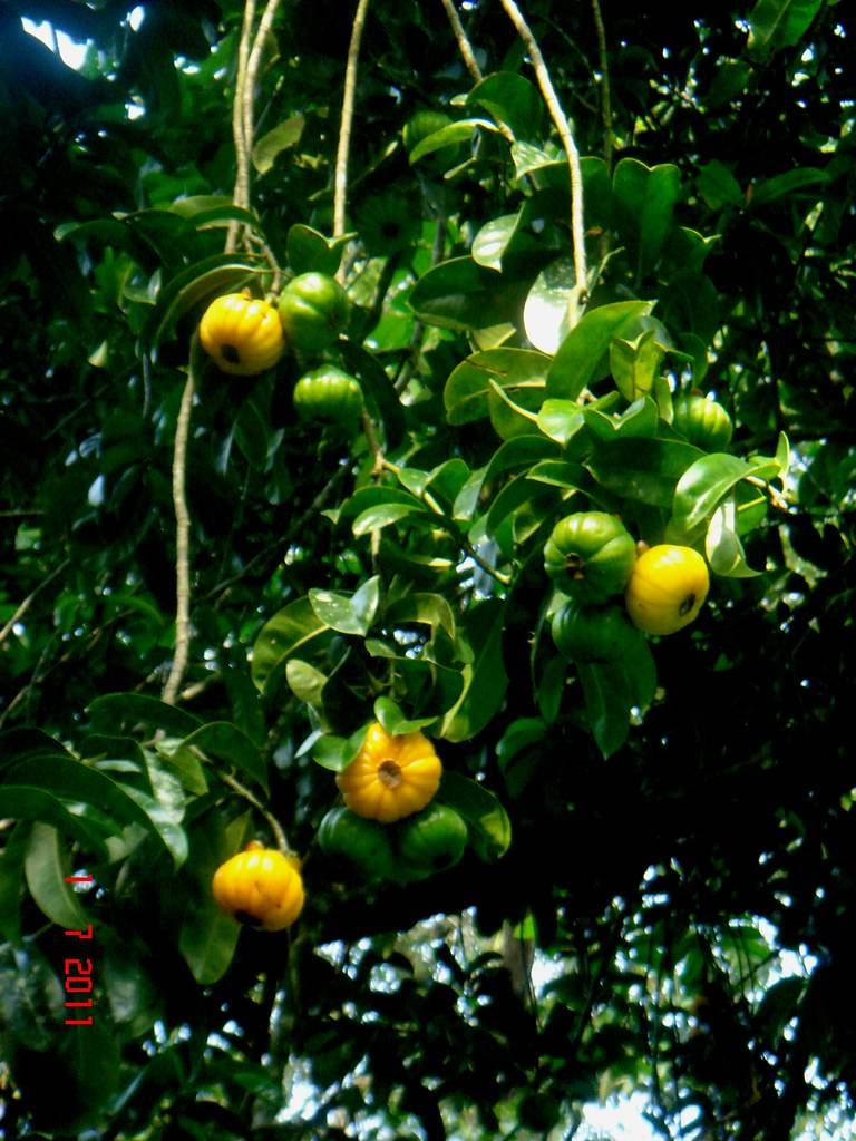 IMAGE - 49521