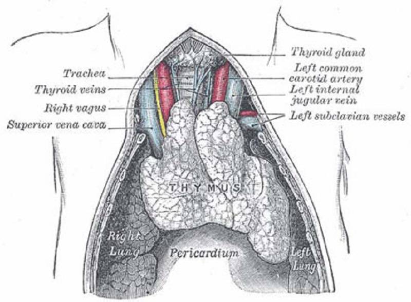 IMAGE - 62840